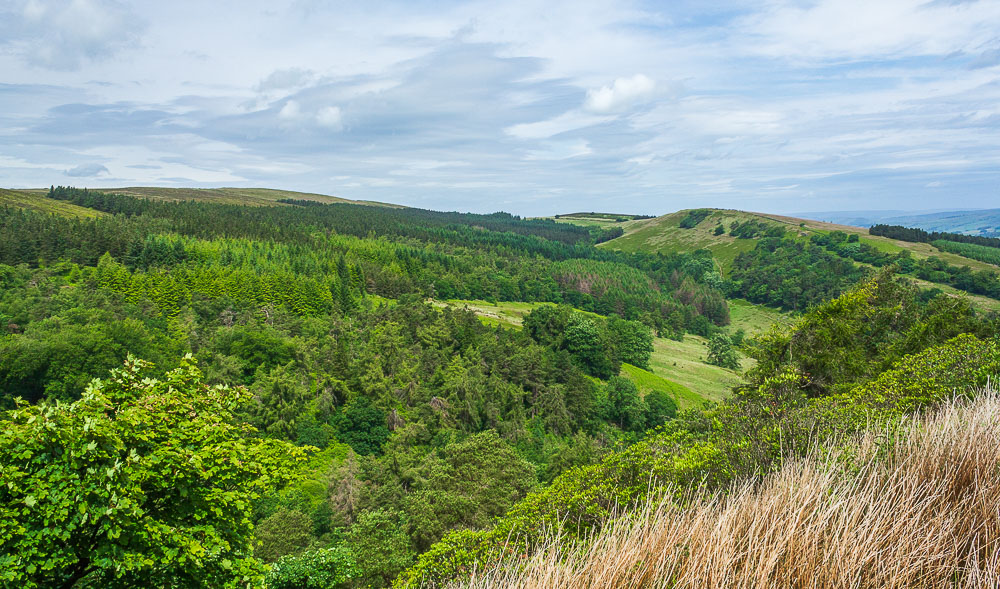 Withinleach Moor Withinleach Moor